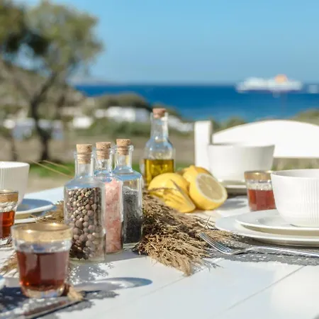 Soraya, Private Two Storey Gem In Stelida, Naxos 别墅 Naxos City